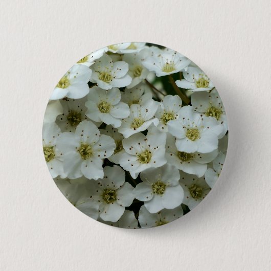 Spirea Arguta Abzeichen Button (Vorderseite)
