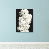 Spirea Arguta Canvas Print Leinwanddruck (Insitu (Holzboden))