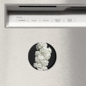 Spirea Arguta Magnet (In Situ (Geschirrspüler))