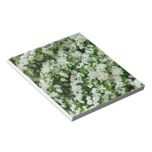 Spirea Arguta Notizblock (angewinkelt)