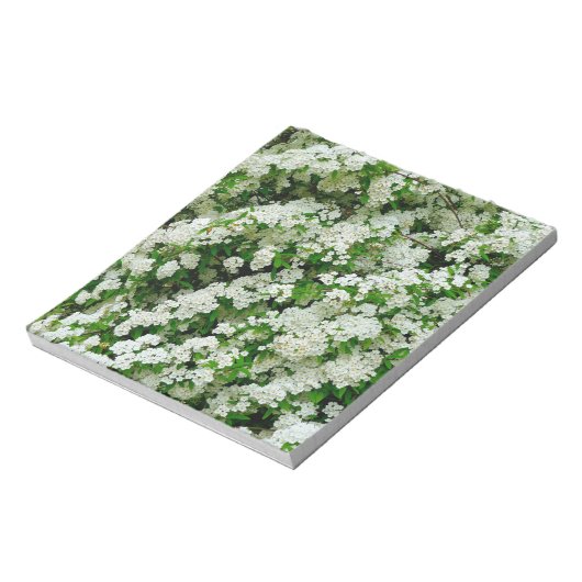 Spirea Arguta Notizblock (Rotiert)