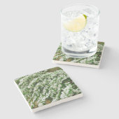 Spirea Arguta Steinuntersetzer (Seitenansicht)