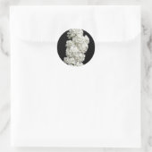 Spirea Arguta Stickers (Tasche)