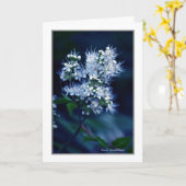 Spirea Karte (Gelbe Blume)