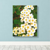 Spirea Leinwanddruck (Insitu (Holzboden))