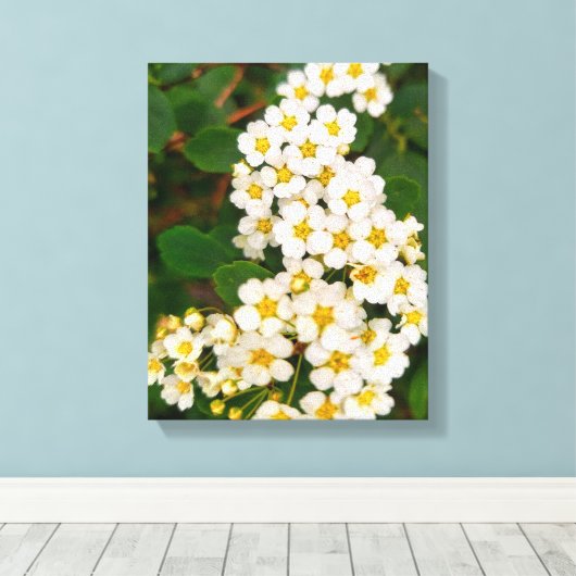 Spirea Leinwanddruck (Insitu (Holzboden))