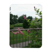 Spirea Magnet (Vertikal)