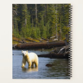 Spirit Bear Calendar Planer (Rückseite)