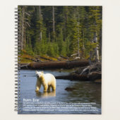 Spirit Bear Calendar Planer (Vorderseite)