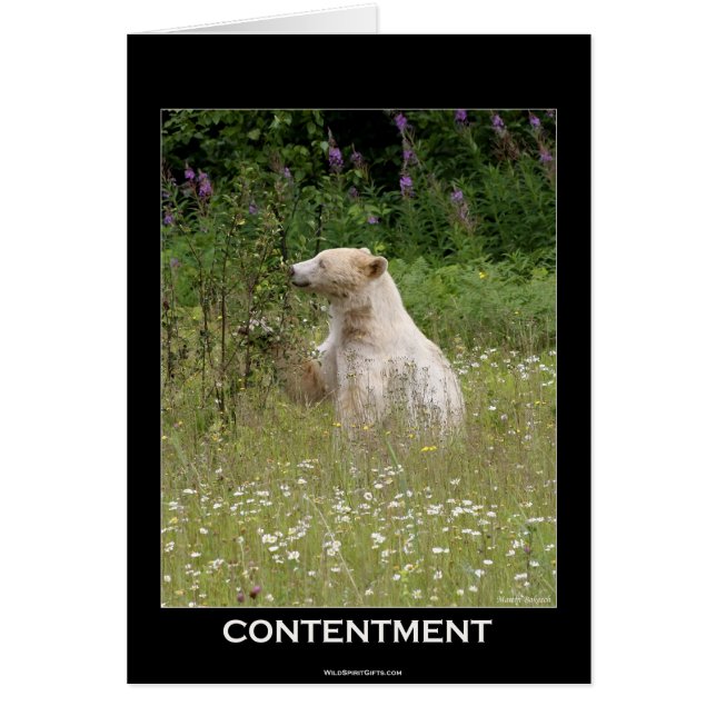 "Spirit Bear"-Geschenke (Vorne)