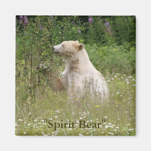 Spirit Bear Geschenke Magnet