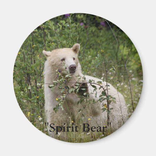 "Spirit Bear"-Geschenke Magnet (Vorne)