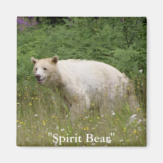 Spirit Bear Geschenke Magnet (Vorne)