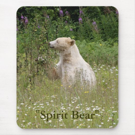 Spirit Bear Geschenke Mousepad (Vorne)