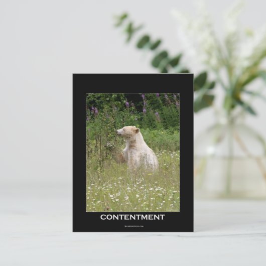 Spirit Bear Geschenke Postkarte (Stehend Vorderseite)