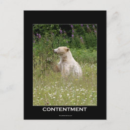 Spirit Bear Geschenke Postkarte
