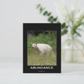 Spirit Bear Geschenke Postkarte (Stehend Vorderseite)