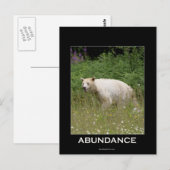 Spirit Bear Geschenke Postkarte (Vorne/Hinten)