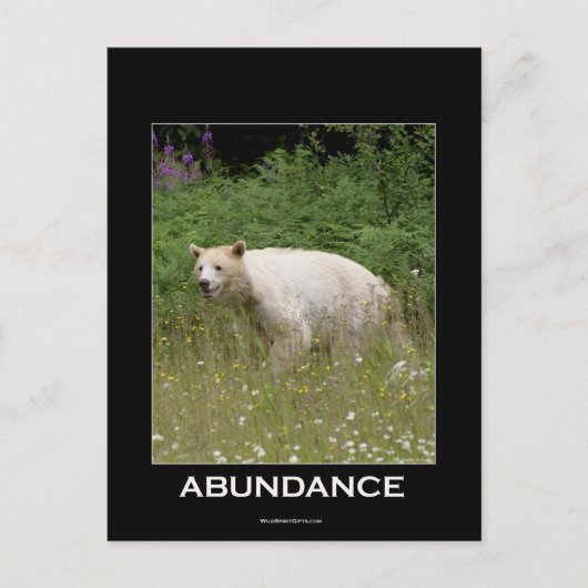 Spirit Bear Geschenke Postkarte (Vorderseite)