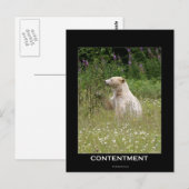 Spirit Bear Geschenke Postkarte (Vorne/Hinten)