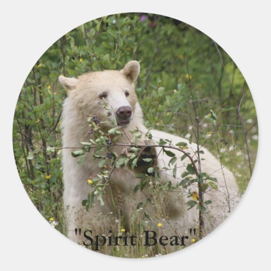 "Spirit Bear"-Geschenke Runder Aufkleber (Vorderseite)