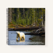 Spirit Bear Hardcover Notizblock (Vorderseite)