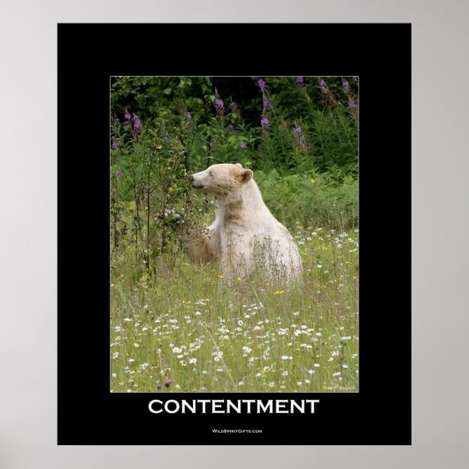 Spirit Bear Motivierend Poster (Vorne)