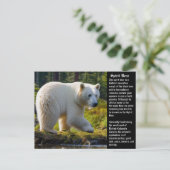 Spirit Bear Postcard Feiertagspostkarte (Stehend Vorderseite)