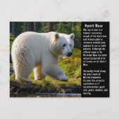 Spirit Bear Postcard Feiertagspostkarte (Vorderseite)
