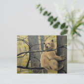 Spirit Bear Postcard Kermode Bären Art Postkarten (Stehend Vorderseite)
