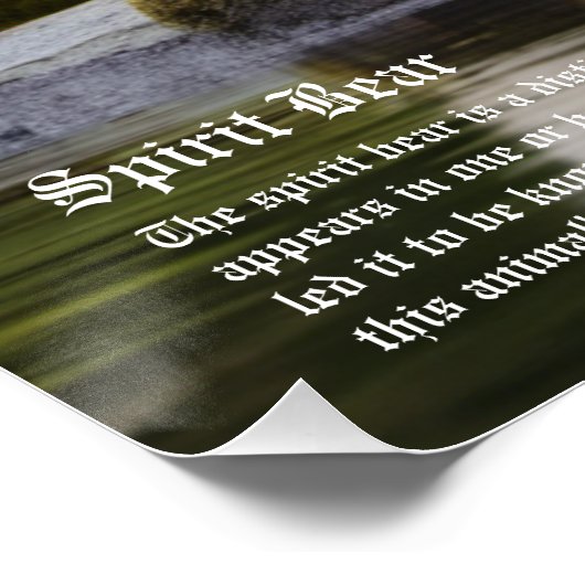 Spirit Bear Poster (Ecke)