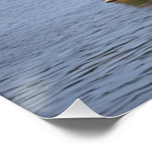 Spirit Bear Poster (Ecke)