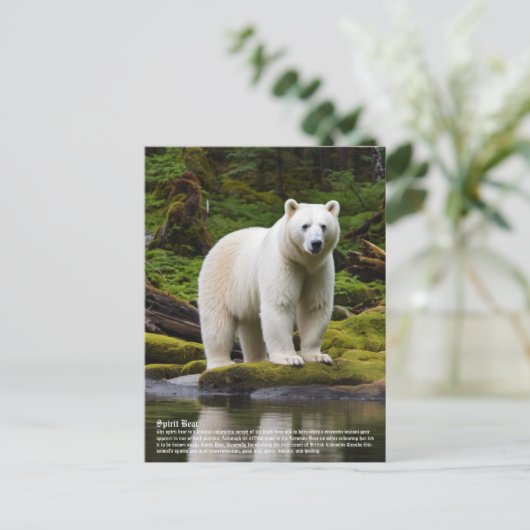 Spirit Bear Postkarte (Stehend Vorderseite)