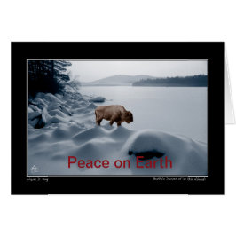 Spirit Buffalo Vor dem See - Friedenskarte