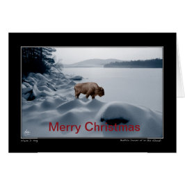 Spirit Buffalo Vor dem See - Weihnachtskarte