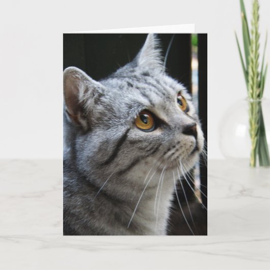 Spirit Cat Card Karte (Vorderseite)