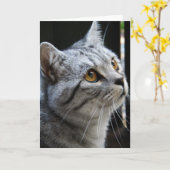Spirit Cat Card Karte (Gelbe Blume)
