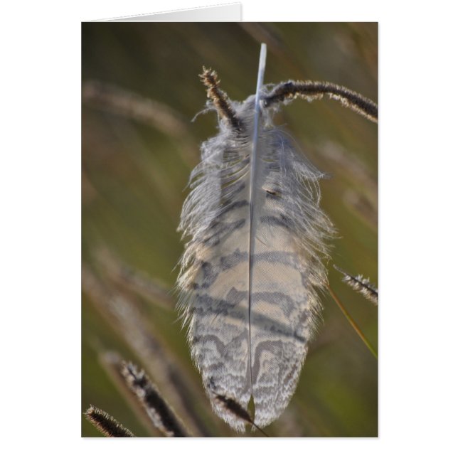 Spirit Feather Täglich (Vorne)