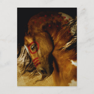 Spirit Horse Postkarte
