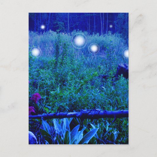Spirit Lights Blue Night Marshy Meadow Orbs Postkarte (Vorderseite)