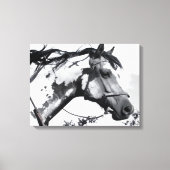 Spirit of the Painted Plains Leinwanddruck (Vorderseite)