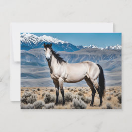 Spirit of the West Mustang Postkarte