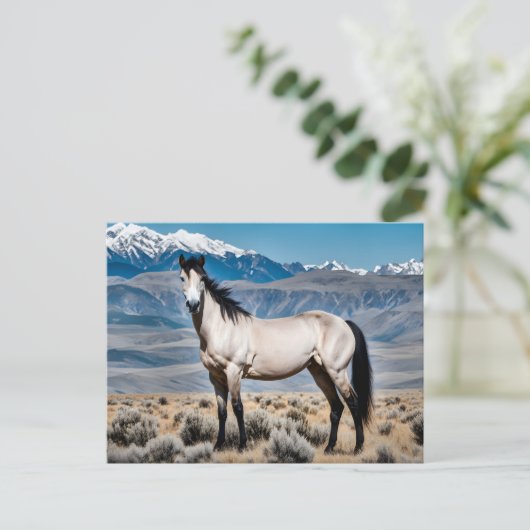 Spirit of the West Mustang Postkarte (Stehend Vorderseite)