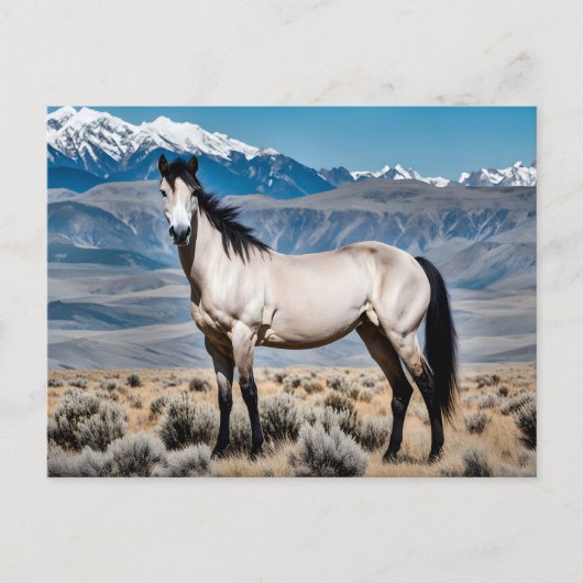 Spirit of the West Mustang Postkarte (Vorderseite)