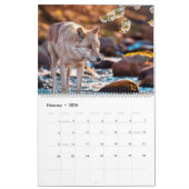 SPIRIT OF WOLVES ART #3 CALENDAR KALENDER (Feb 2026)