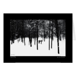 Spirit Pony in der Nebelkarte