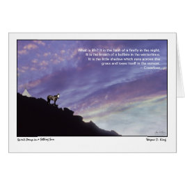 Spirit Pony in einer Stimmung