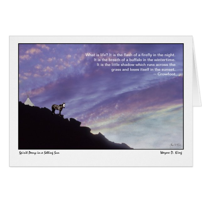 Spirit Pony in einer Stimmung (Vorderseite (Horizontal))