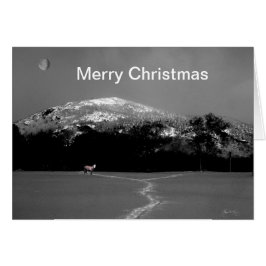 Spirit Pony Under Gibbbous Moon Weihnachtskarte