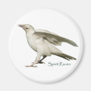 Spirit Raven II Serie Magnet